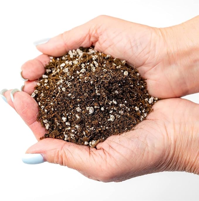 Premium Organic Potting Soil - 1 Quart - The Ideal Growing Medium for Delicious and Nutritious Homegrown Potatoes