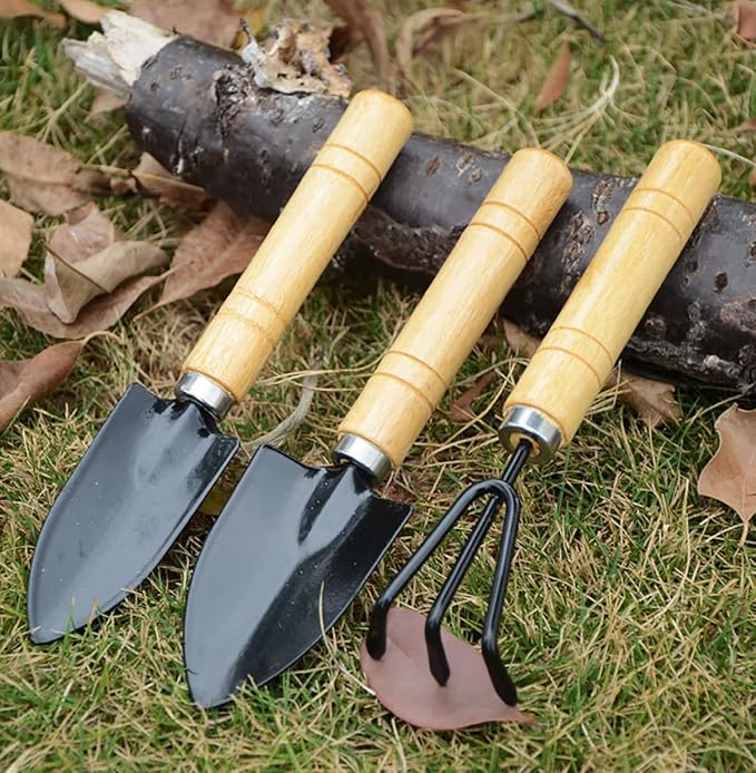 Garden Tools Set-Garden Rake Trowel, Small Succulent Plant Transplant Trowel Set,3 Piece Mini Premium Gardening Hand Kit,1 Narrow Shovel,1 Wide Shovel and 1 Garden Tools Set Gift for Older and Kids