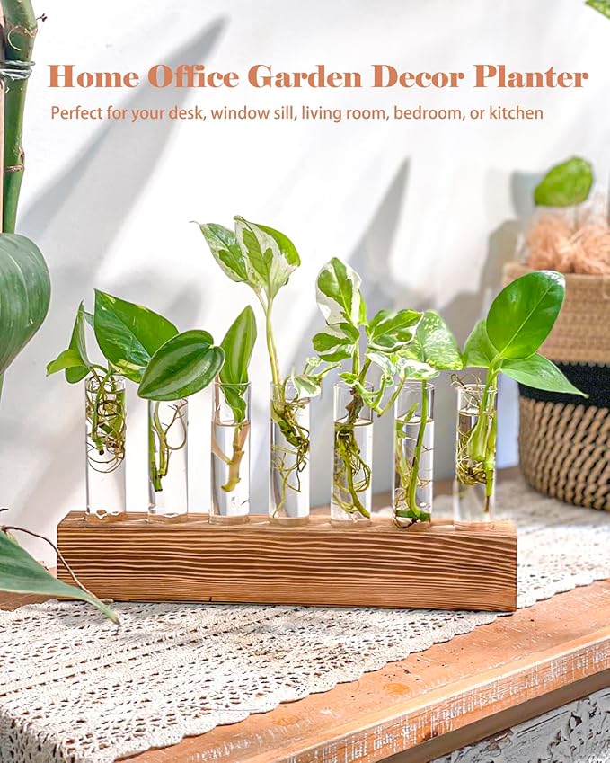 KAXYEW Plant Terrarium with Wooden Stand, Plant Propagation Tubes, 7 Test Tubes Glass Planter for Hydroponic Plant Cuttings Home Office Décor