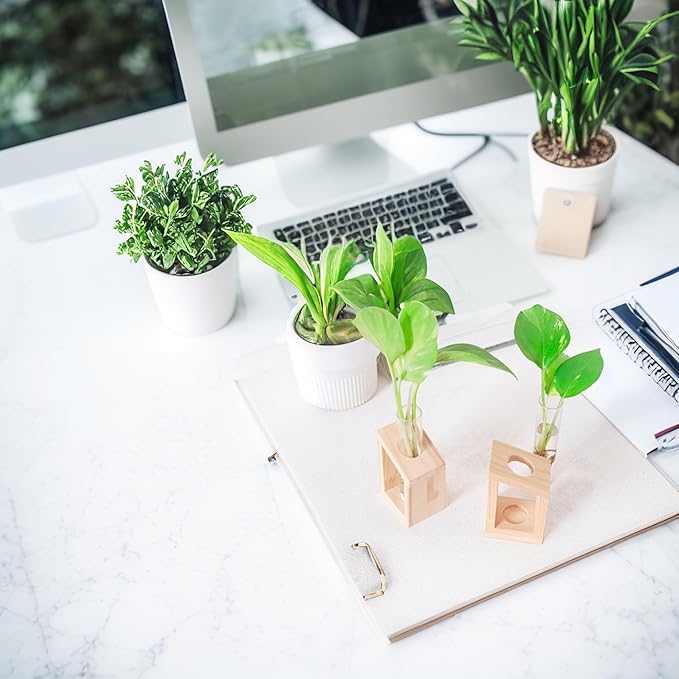 Ivolador Plant Propagation Station, Plant Propagation Tubes,Gifts for Plant Lovers,Plants Cutting Holder Office Desk Garden Décor Gifts for Mom Women Hydroponic Vase Gift Box