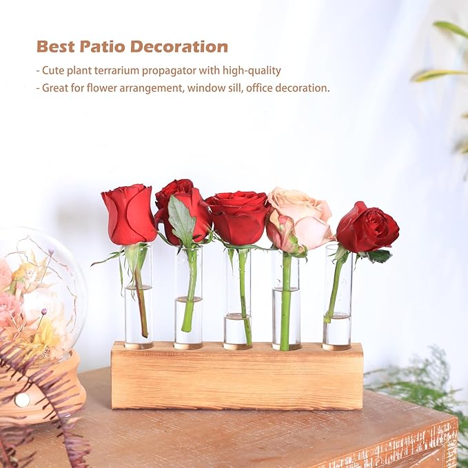 KAXYEW Plant Propagation Station, Plants Propagation Tubes, Gifts for Plant Lovers, Plants Cutting Holder Test Tube Vase Office Desk Garden Décor Gift for Her Mom Women Hydroponic Vase Gift Box