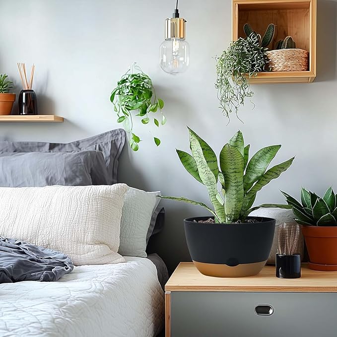 10 Inch Pots for Indoor Plants, Large Self Watering Planters with Drainage and Saucers, Plastic Outdoor Flower Pot, Set of 2, Grey