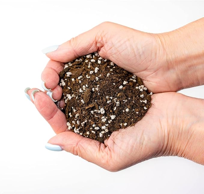 House Plant and Tropical Plant Potting Soil - Re-Potting Soil for All Types of Indoor House Plants - 1 Quart Bag