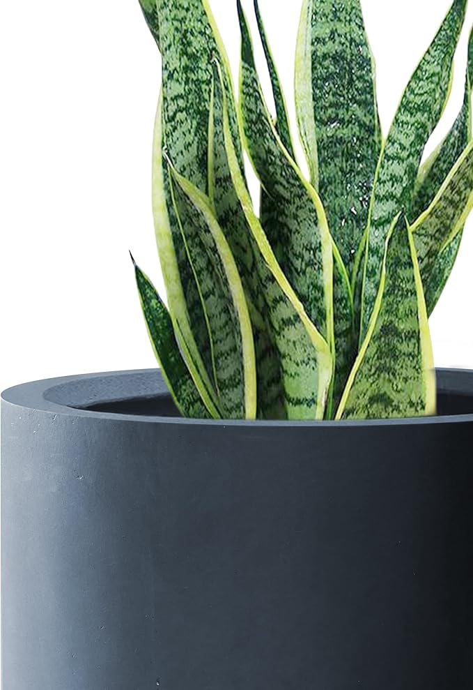 Kante 9.8" Dia Round Concrete Planter, Modern Style Large Cylindrical Plant Pot with Drainage Hole and Rubber Plug for Indoor Outdoor Patio, Charcoal