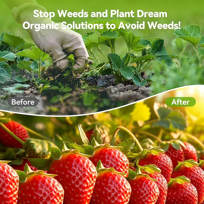 2.6ftx100ft Weed Barrier Landscape 3.2oz Fabric Heavy Duty, Woven Weed Control Cloth, Woven Geotextile Fabric for Underlayment, Gardening Ground, Commercial Driveway Weed Block Cover Mat