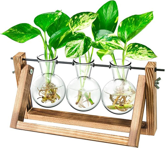 Ivolador Plant Propagation Station,Bulb Plant Terrarium with Wooden Stand,Unique Gardening Gifts for Women Plant Lovers,Hydroponic Indoor Planter Home Office Garden Wedding Decor-3 Bulb Glass Vases