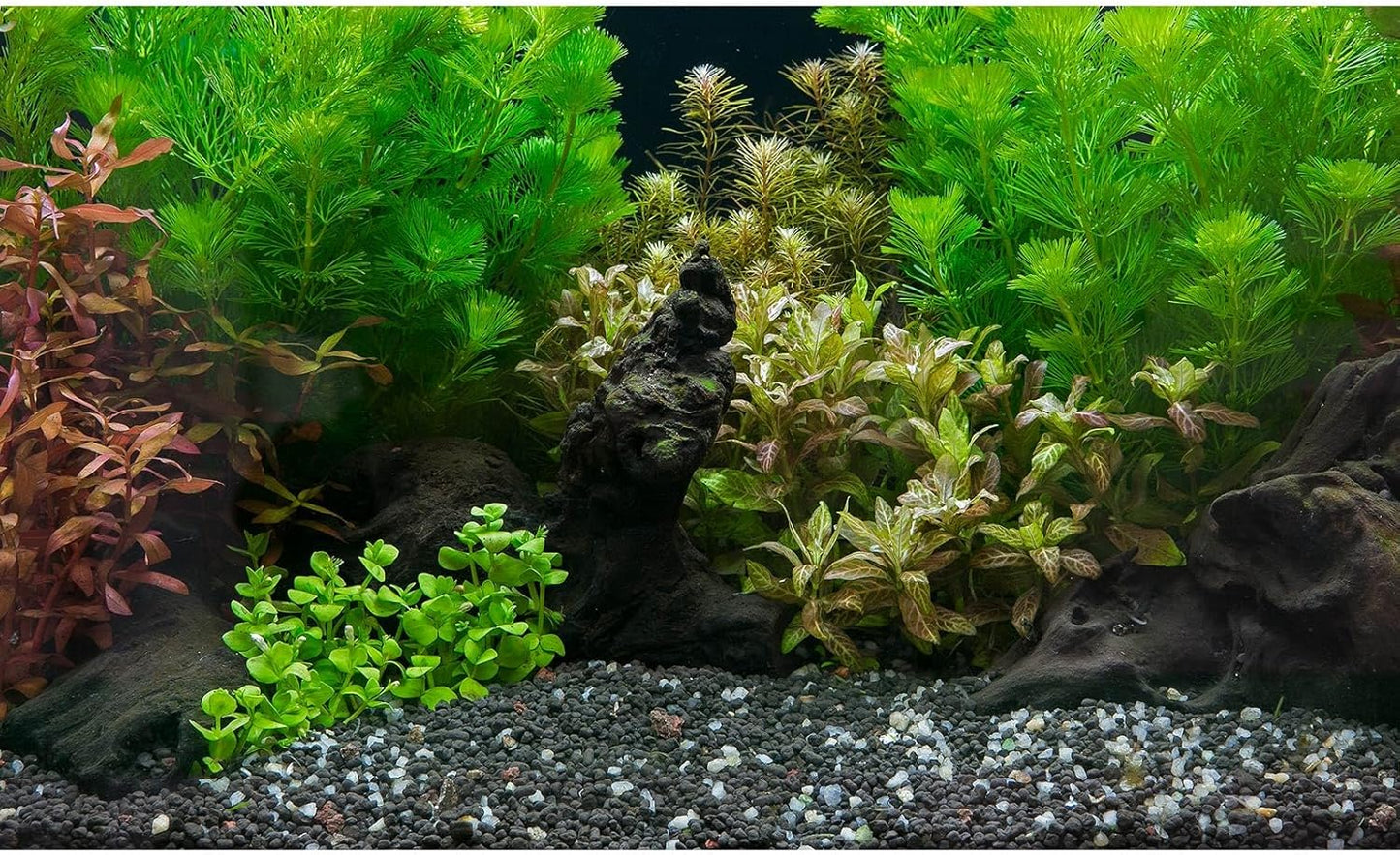 Aquarium Background Exquisite Underwater Grass Leaves with Pebbles Fish Tank Background Vivid Green Aquatic Plant Stone with Dead Woods Leaves Terrarium Wallpaper 30x12in