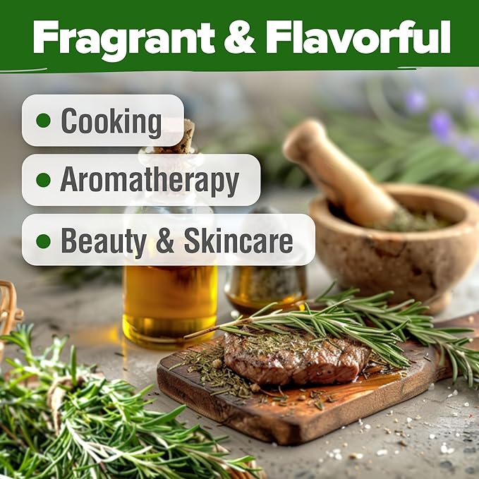 HOME GROWN Rosemary Seeds Pack - 300 High Germinating 𝗡𝗢𝗡-𝗚𝗠𝗢, 𝗨𝗦𝗔-𝗦𝗢𝗨𝗥𝗖𝗘𝗗 Heirloom Herb Seeds for Planting in Indoor or Outdoor Herb Gardens (Salvia rosmarinus)