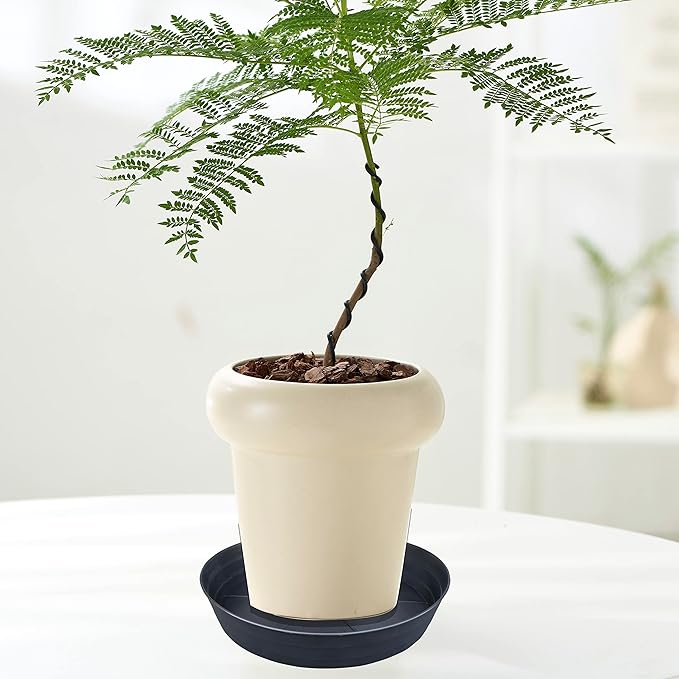 20 Inch Extra Large Plant Saucers, Extra-Deep 3.7 in Black Drip Trays for Flower Pot, Heavy Duty Drainage Tray Indoors No Holes, 2 Pack Plastic Planter Plate Water Catcher for Pots Base 16 17 18 in