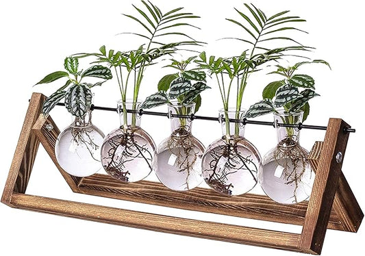 Kingbuy Plant Propagation Station with 5 Bulb Vases Retro Wooden Stand Desktop Glass Planter Terrarium for Hydroponics Plants Home Office Décor