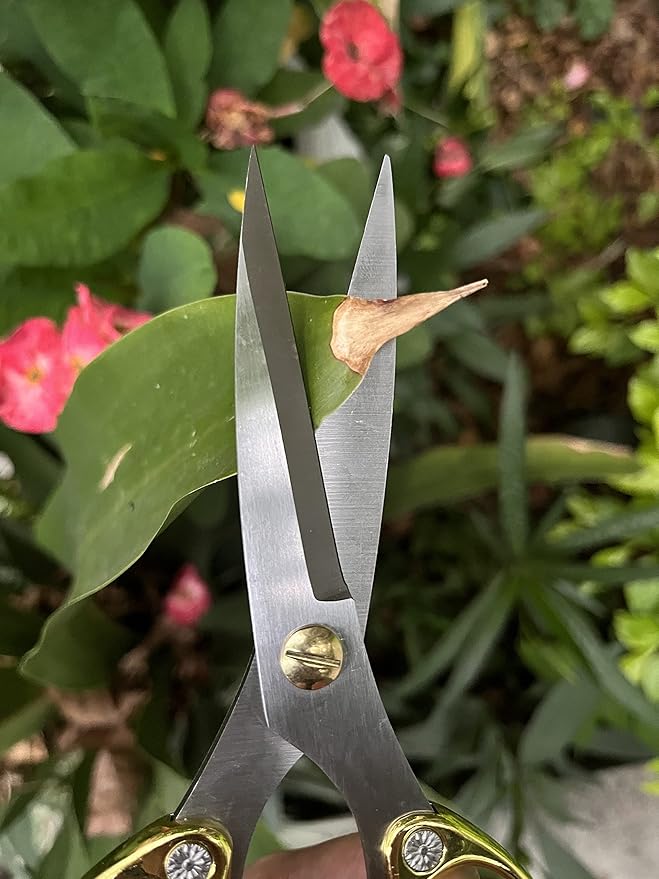 Japanese Garden Clippers, Houseplant plant shears, Floral Pruner Botanical Flower Stem scissors, Gardening Shears with Straight Stainless Steel Blades, Easy Use Garden Tools (golden-k26)