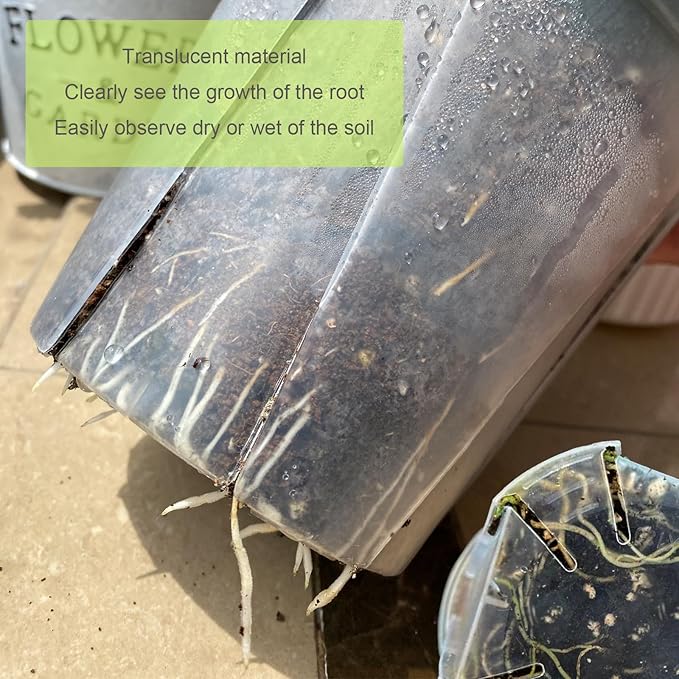 30 pcs 5/6 inch Clear Nursery pots,Thick Plastic Clear Plant pots with Drainage Holes for Orchids,Succulents etc,Outdoor or Indoor use