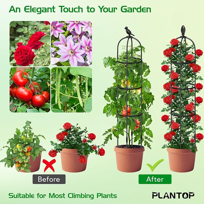 2 Pack Garden Obelisk Trellis for Climbing Plants Outdoor, 6.6FT Tall Rustproof Plant Trellis Climbing Plant Support, Garden Tower Trellis for Potted Plant Flowers Vegetable Vine Indoor