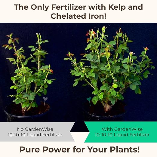 10-10-10 Fertilizer for All Purpose Plants - Liquid Fertilizer with Seaweed Kelp & Iron - Plant Food Outdoor & Indoor Plant Food, Vegetables,Flowers, Lawn & Garden 10 10 10 Fertilizer 16 oz