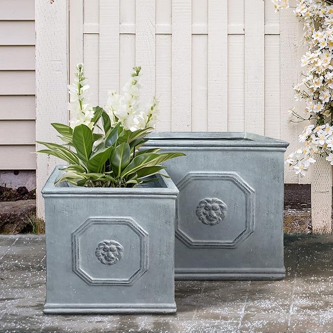 Kante Square Lion Head Concrete Planter Set of 2, Classic English Style Plant Pot with Drainage Hole and Rubber Plug for Indoor Outdoor, 10.2"x10.2"x10.2" and 12.6"x12.6"x12.6" Antique Gray