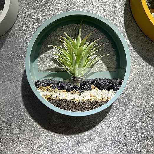 10 lbs Black Pebbles for Indoor Plants, Succulent, Bamboo, Vase, 3/8" Plant Rocks for Pots Indoor, Small River Rocks Decorative Pea Gravel, Highly Polished