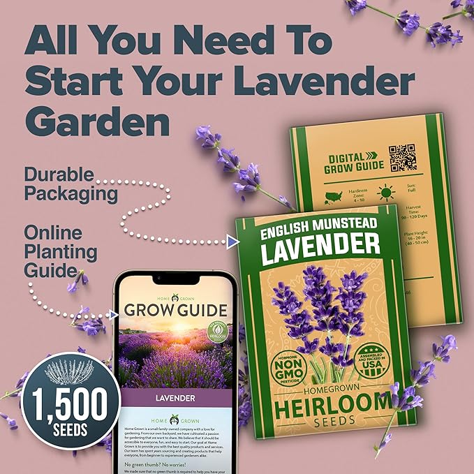 HOME GROWN 𝗨𝗦𝗔 𝗣𝗥𝗘𝗠𝗜𝗨𝗠 English Lavender Seeds 2 Pack 3000 𝗡𝗢𝗡-𝗚𝗠𝗢 Wildflower Seed, for Planting Indoor Outdoor High Germination Flower Seeds (Lavandula antustifolia)