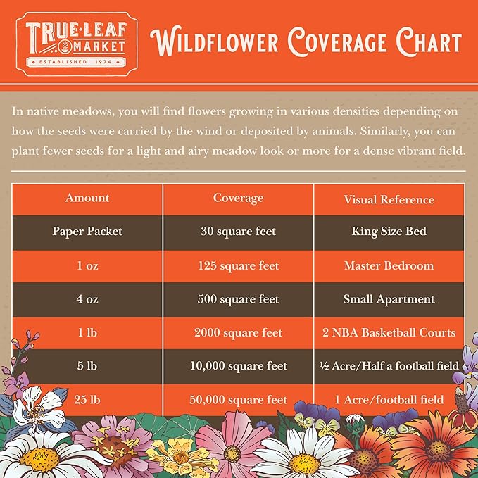 Wildflower Seeds Bulk - Meadow Wildflower Seed Mix, 5 Lbs Bulk, Annual & Perennial Wildflowers Seeds for Planting, Wild Flower & Grass Garden Mixture, Mountain Valley Seed Company