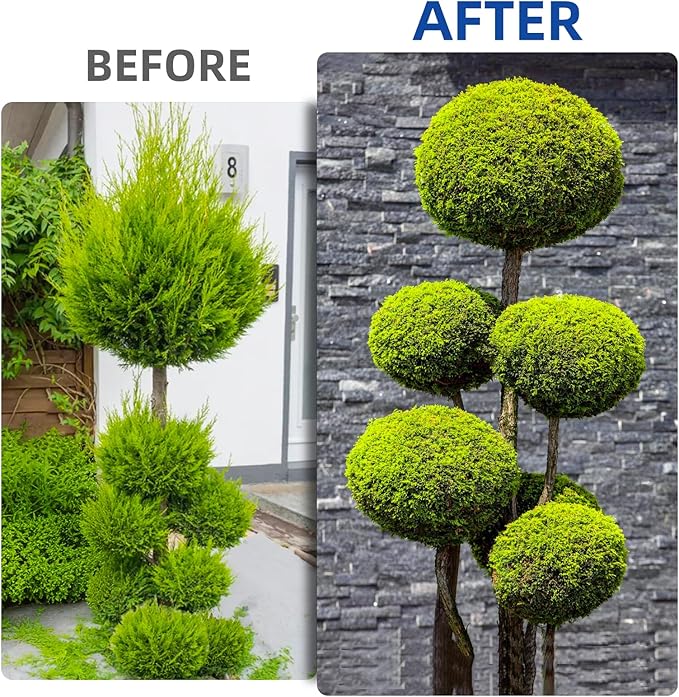 Hedge Shears Heavy Duty Hedge Clippers with Shock Absorbing Bumpers Ideal Hedge Clippers for Gardening Pruning Shaping Shrubs and Decorative Plants Garden Hedge Shears for Effortless Trimming