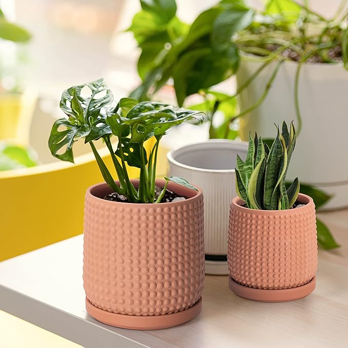 D'vine Dev 6 Inch 4 Inch Terracotta Indoor Planter Pots with Drainage Hole and Saucer, Beaded Design Flower Pots, Set of 2, Terracotta Color, 27-D-U-7
