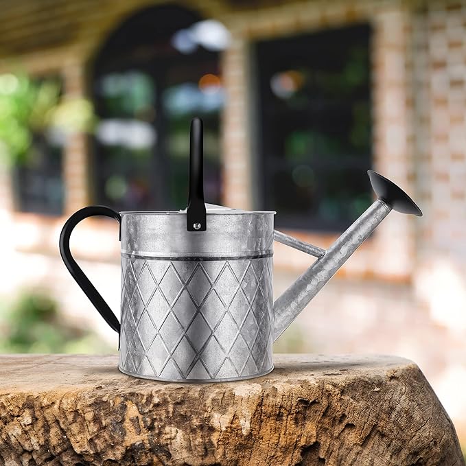 1.75 Gallon Outdoor Galvanized Metal Watering Can for Garden Plants, Vintage Zinc Watering Can with Removable Spray Spout, Ideal for Outdoor Use (Silver)
