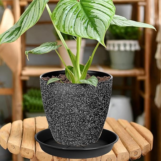 2 Pack of Plant Saucer 8 inch, Black Plastic Flower Plant Pot Saucer, Heavy Duty Plant Drip Trays Saucers for Indoor, Plant Water Tray for Planters