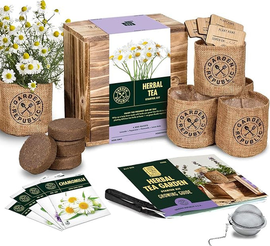 Indoor Herb Garden Seed Starter Kit - Herbal Tea Growing Kits, Grow Medicinal Herbs Indoors, Seeds for Planting, Soil, Plant Markers, Pots, Infuser, Planter Box, Gardening Gifts for Women