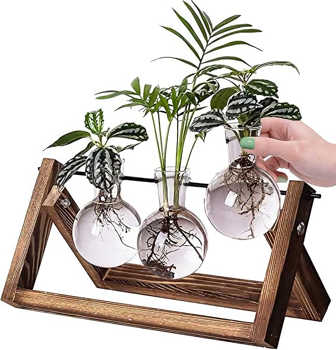 Kingbuy Desktop Glass Planter Iron and Wooden Stand Plant Terrariums for Indoor Office Desk Decor Accessories, 3 Bulb Vases, Brown