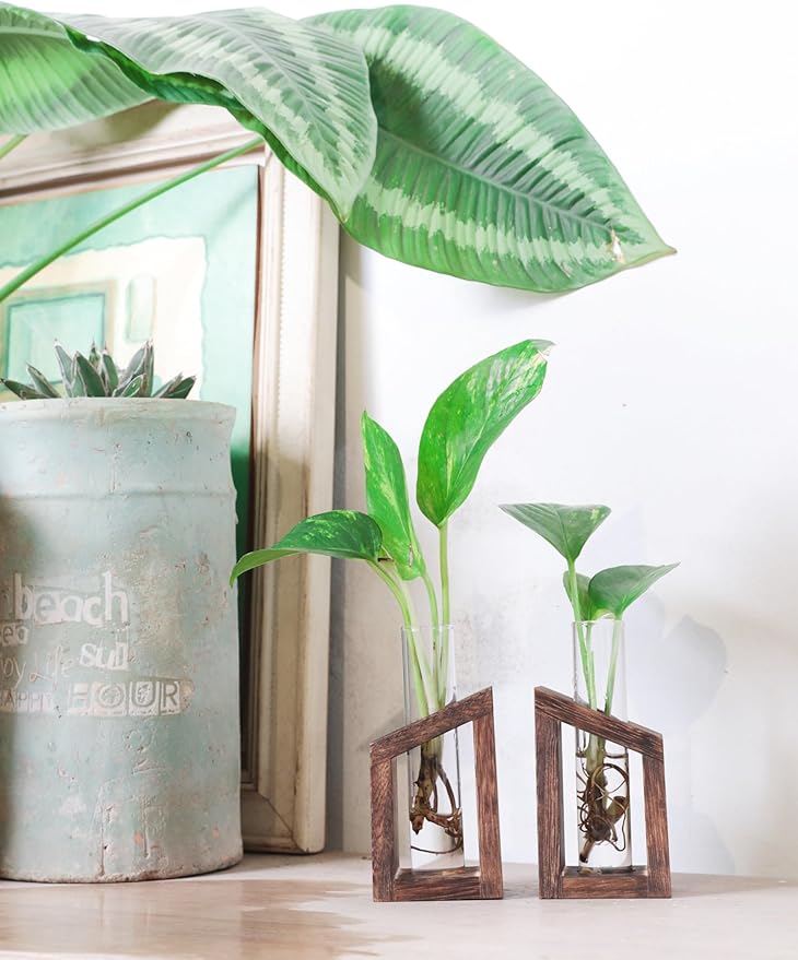 Ivolador Test Tube Propagation Stations Pothos Planter Terrarium Container Perfect for Propagating Hydroponic Plants Home Office Garden Decor Wedding -2 PCS