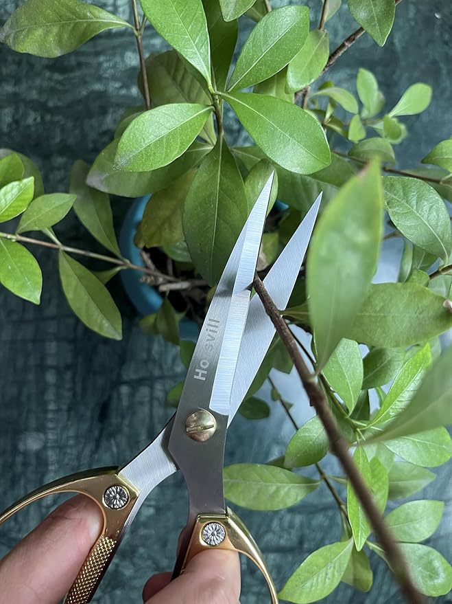Indoor Plant Shears and Garden Scissors, Houseplant Shears Made of Japan SK5 Stainless Steel, Flowers Herbs and Plant Cutters, Clippers, Trimmers, Loppers, Bonsai Plant Pruning Scissors