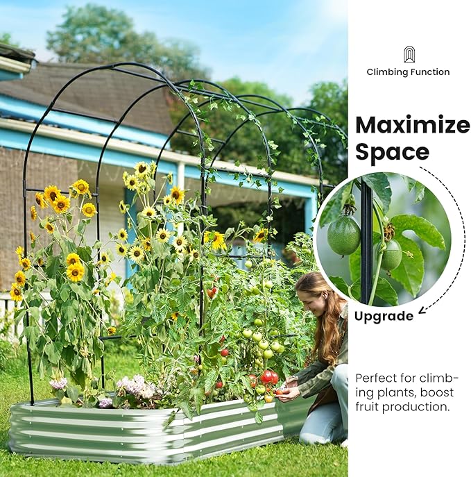 KING BIRD Raised Garden Bed with Arched Trellis Galvanized Planter Garden Box Outdoor for Gardening, Climbing Vegetables, Flowers 7.87x3.94x0.98 Ft, Silver