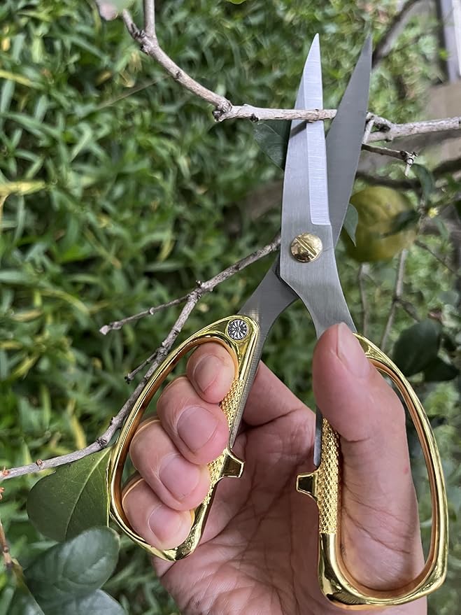 Japanese Garden Clippers, Houseplant plant shears, Floral Pruner Botanical Flower Stem scissors, Gardening Shears with Straight Stainless Steel Blades, Easy Use Garden Tools (golden-k26)