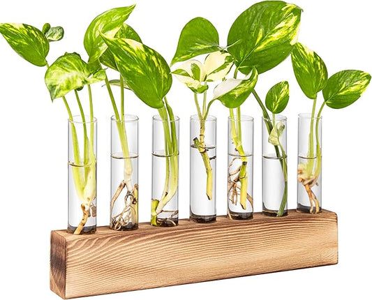 KAXYEW Plant Terrarium with Wooden Stand, Plant Propagation Tubes, 7 Test Tubes Glass Planter for Hydroponic Plant Cuttings Home Office Décor