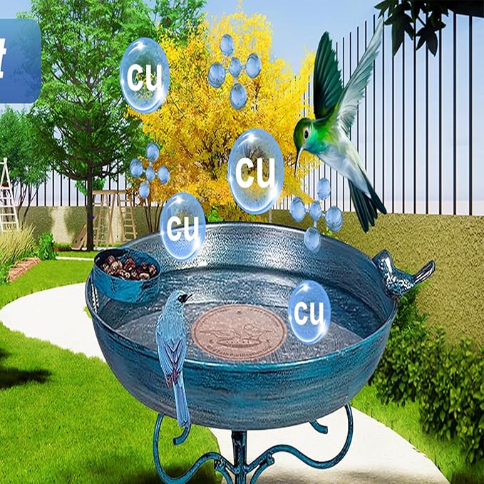 3-Pack 99.99% Pure Copper Bird Bath Purification Disk,Copper Disc with Stable Triple-Point Support,Fits All Outdoor Bird Baths(Round)