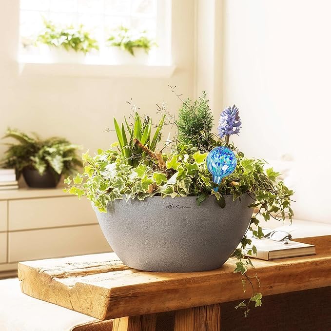 Plant Watering Globes Set of 2 - Small Self Watering Globes for Indoor & Outdoor Plants - Multicolored, Automatic, Glass Watering Bulbs for Daily Use, Plant Watering Devices
