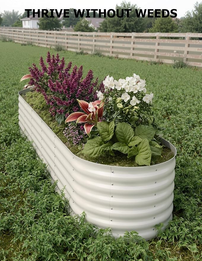 2 Pcs Raised Garden Beds Outdoor 8x2x1.5ft - Galvanized Steel Planter Box for Vegetables, Flowers, Rust-Resistant Garden Box, Easy Assembly Raised Beds, Durable Planters for Outdoor Plants, Beige