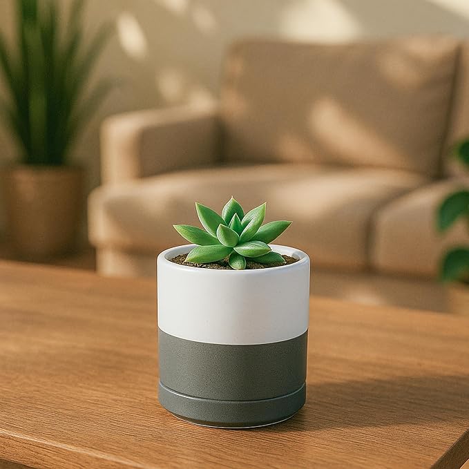 D'vine Dev Set of 4 Small Ceramic Plant Pots, 3.5 Inch Succulent Planter Pot for Plants with Drainage Hole and Saucer, White/Speckled Grey, 94-X-A-6