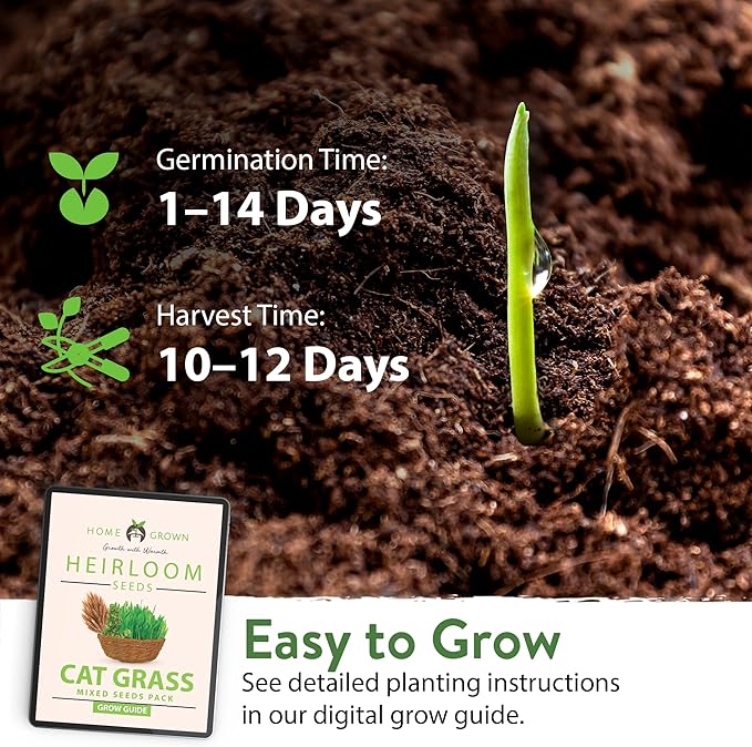 HOME GROWN 30,000+Cat Grass Seeds (6oz) 𝗡𝗢𝗡-𝗚𝗠𝗢 𝗨𝗦𝗔 Heirloom Barley & Oat Mix – Refill for Indoor Cat Grass Growing Kit – Safe Healthy Green Grass for Cats – Pet Grass for Eating & Digestion