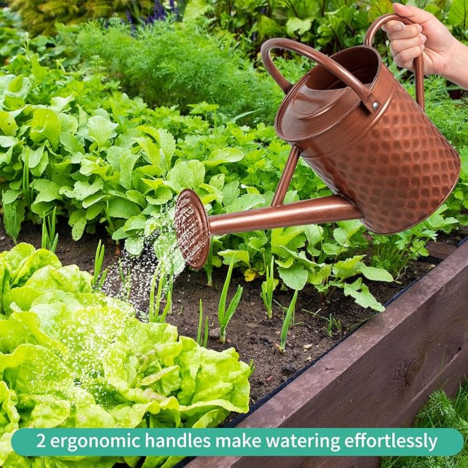 1 Gallon Metal Watering Can for Outdoor Indoor Plants, Copper Colored Watering Can with Removable Spray Spout, Ideal for Garden Watering