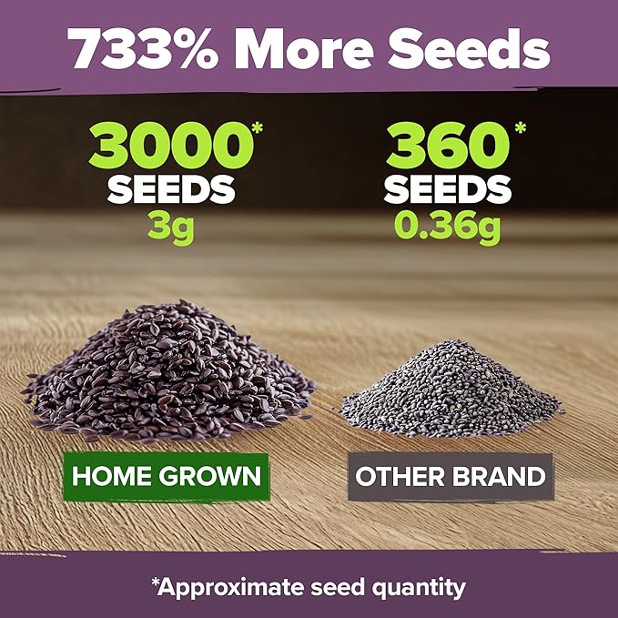 HOME GROWN 𝗨𝗦𝗔 𝗣𝗥𝗘𝗠𝗜𝗨𝗠 English Lavender Seeds 2 Pack 3000 𝗡𝗢𝗡-𝗚𝗠𝗢 Wildflower Seed, for Planting Indoor Outdoor High Germination Flower Seeds (Lavandula antustifolia)