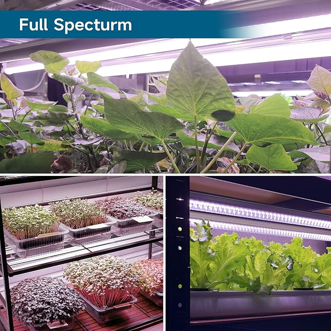 Barrina LED Grow Light 4FT,168W(4 x 42W, 1000W Equivalent), Full Spectrum, V-Shape with Reflector Combo, Grow Lights for Indoor Plants, Greenhouse, 4-Pack