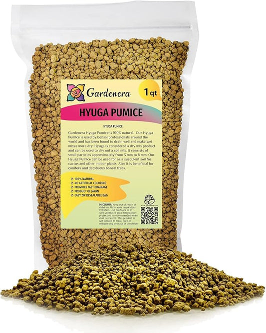 Japanese Hyuga Pumice - Premium Additive for Orchid & Bonsai Tree Soil |Professional Imported Sifted and Ready to Use (1 Quart Bag)