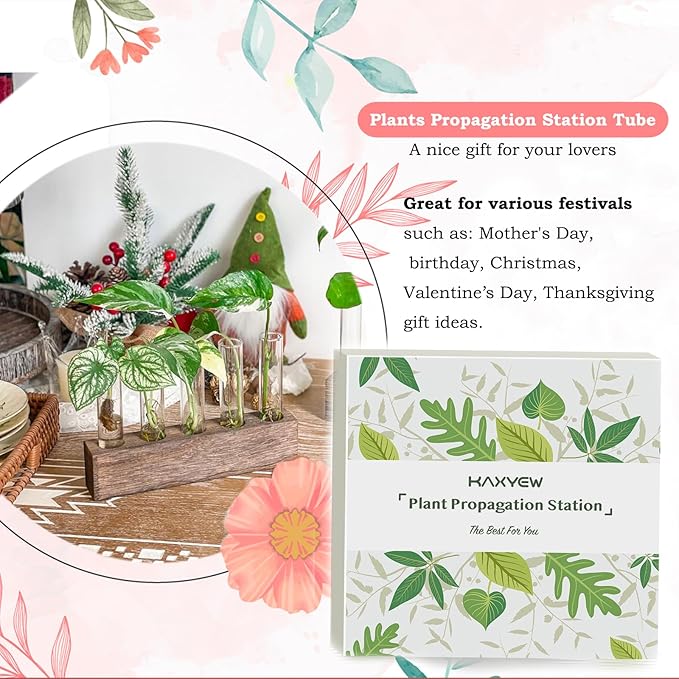 KAXYEW Desktop Glass Plant Propagation Station Test Tube Plant Terrarium in Wooden Stand for Hydroponic Plants Cutting Office Home Decoration Gift for Women (5 Test Tubes-BR)