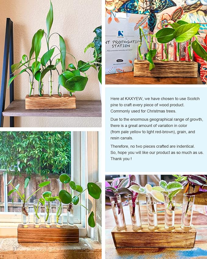 KAXYEW Plant Propagation Station, Plants Propagation Tubes, Gifts for Plant Lovers, Plants Cutting Holder Test Tube Vase Office Desk Garden Décor Gift for Her Mom Women Hydroponic Vase Gift Box