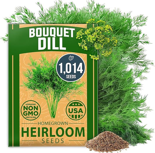 HOME GROWN 𝗨𝗦𝗔 𝗣𝗥𝗘𝗠𝗜𝗨𝗠 Dill Seeds for Planting 1,014 Bouquet Dill Seeds 𝗡𝗢𝗡-𝗚𝗠𝗢 and Heirloom Herb Seeds for Planting Outdoors, Grow Your Fragrant Dill Herb Garden (Anethum graveolens)