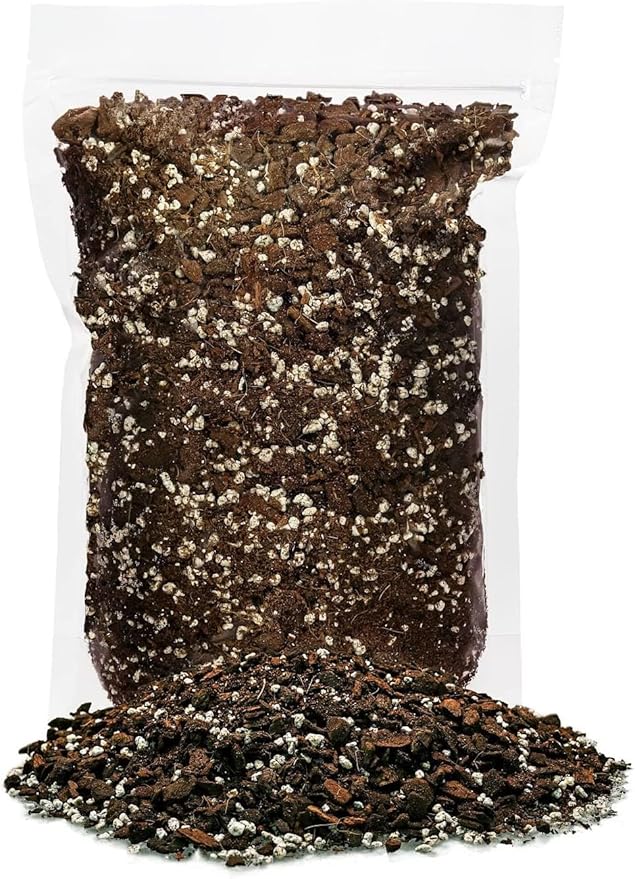 Premium Papaya Plant Potting Mix - Crafted for Thriving Papaya Growth and Abundant Fruits - 1 Quart