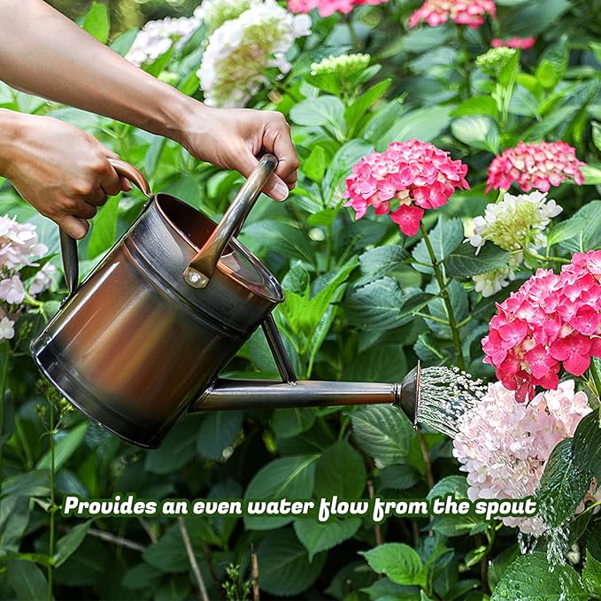 1 Gallon Watering Can for Plants, Watering Cans for Indoor&Outdoor Gardening, Galvanized Steel Watering Pot with Removable Spout, Metal Water Can with Ergonomic Movable Handle(Copper)