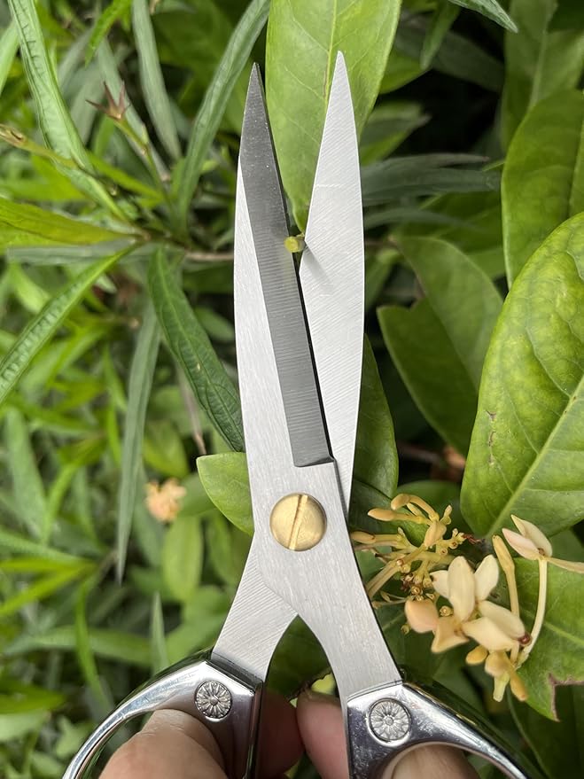 Indoor Plant Shears Garden Scissors, Flower Pruners Made of Japan SK5 Stainless Steel, Flowers Herbs and Plant Cutters, Clippers, Trimmers, Loppers, Bonsai Potted Plant Pruning Scissors