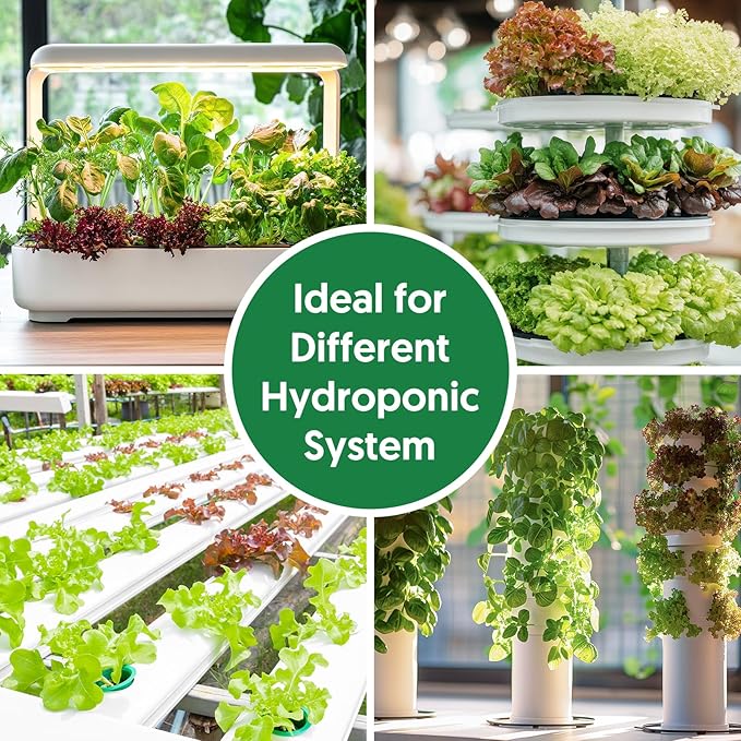 18 Varieties Herb & Vegetable Seeds for Hydroponic, 13000+ Seeds for Indoor Outdoor Garden Planting Home Veggie Herb, Heirloom Non-GMO Culinary Collection Gift Pack