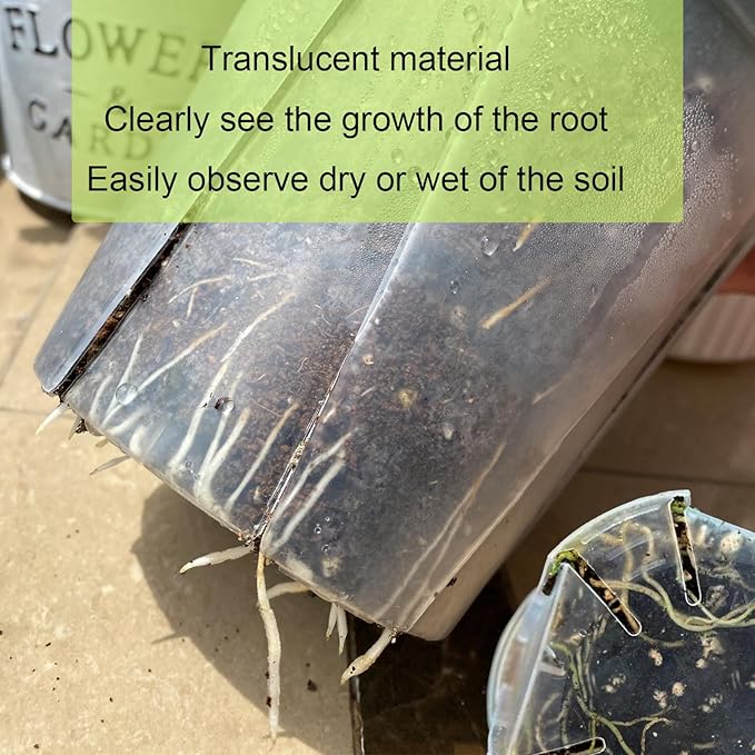 24 pcs 5/6 inch Clear Nursery pots for Plants,Thick Plastic Clear Plant pots with Drainage Holes and Saucers for Orchids,Succulents etc,Outdoor or Indoor use